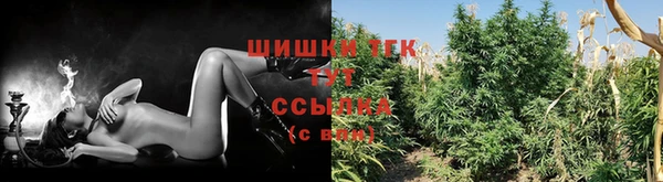 скорость Бронницы