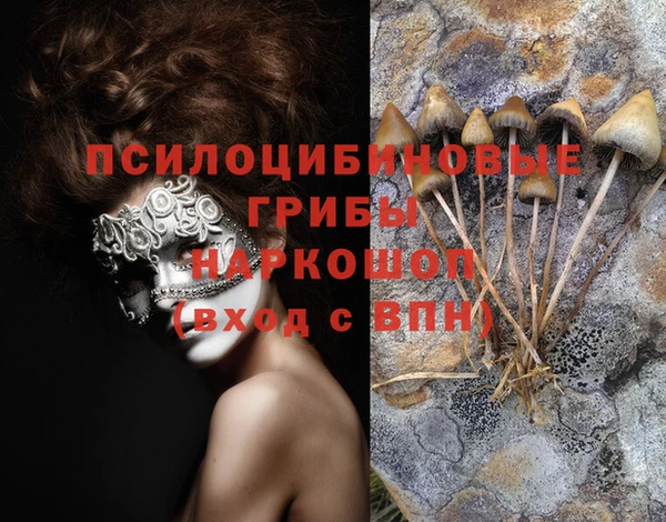 кокаин перу Бородино