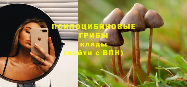 кокаин перу Бородино
