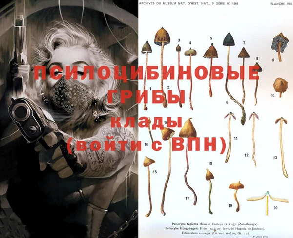 PSILOCYBIN Бугульма