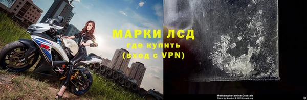 PSILOCYBIN Бугульма