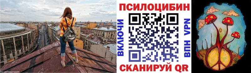 Галлюциногенные грибы Cubensis  Новый Оскол 